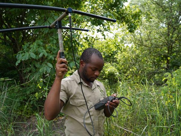 Malawi wildlife conservation holiday