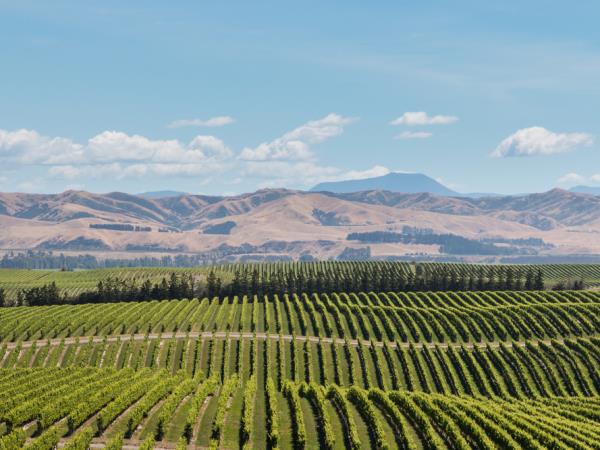 Luxury self drive holiday in New Zealand