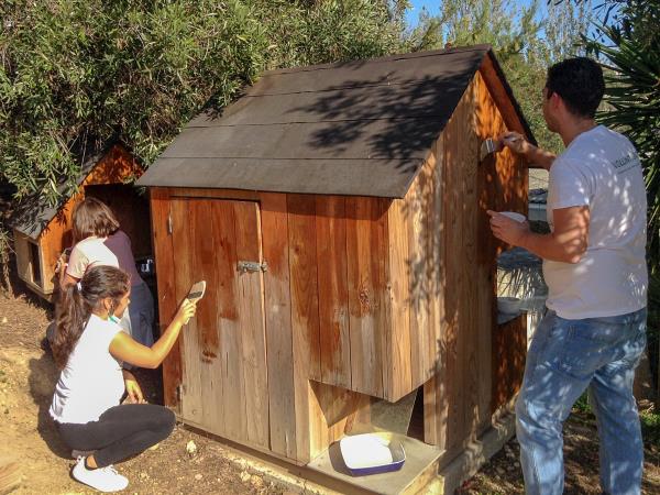Dog and cat sanctuary volunteering in Portugal