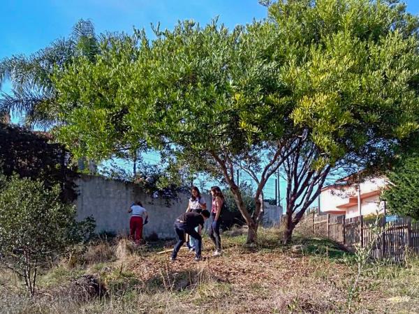 Dog and cat sanctuary volunteering in Portugal