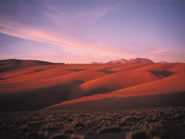 Chile wildlife and wilderness holiday