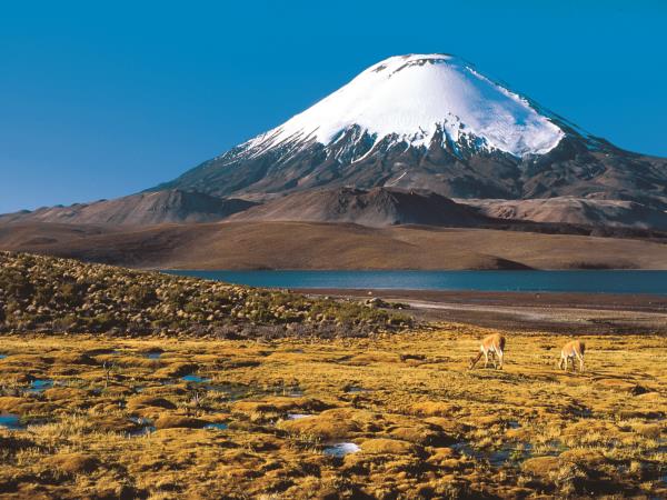 Best of Chile holiday, 3 weeks