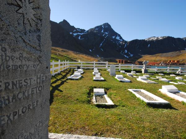 South Georgia, Falklands & Antarctic Peninsula cruise