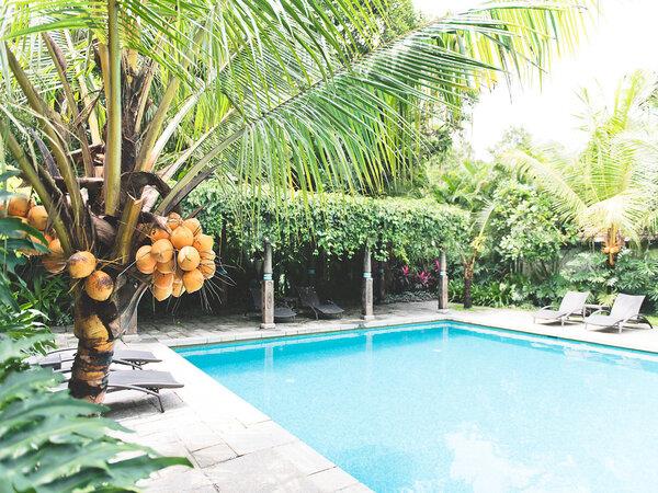 Kerala, Tamil Nadu and Karnataka tour, India