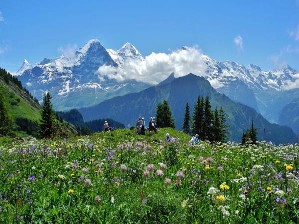Swiss Alps scenic walking small group tour