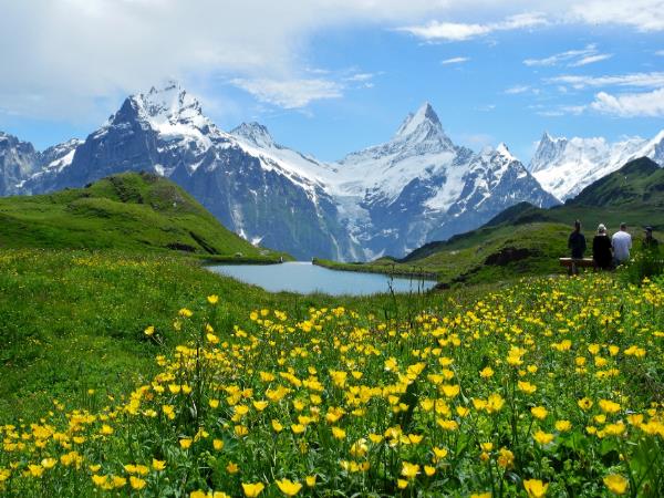 Swiss Alps scenic walking small group tour