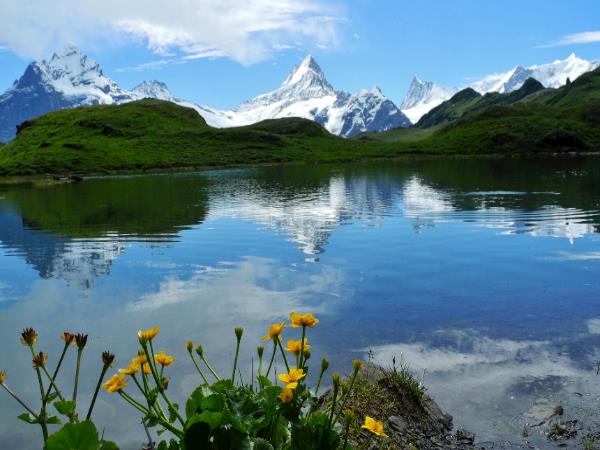 Swiss Alps scenic walking small group tour