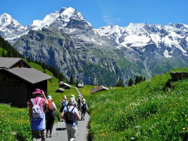 Swiss Alps scenic walking small group tour