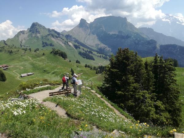 Swiss Alps scenic walking small group tour