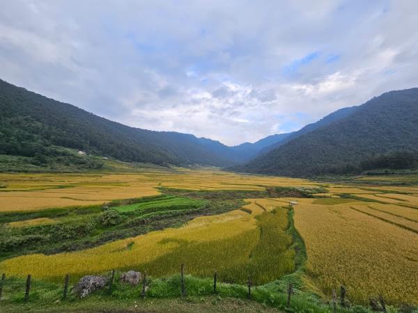 Trans Bhutan Trail trek, tailor made