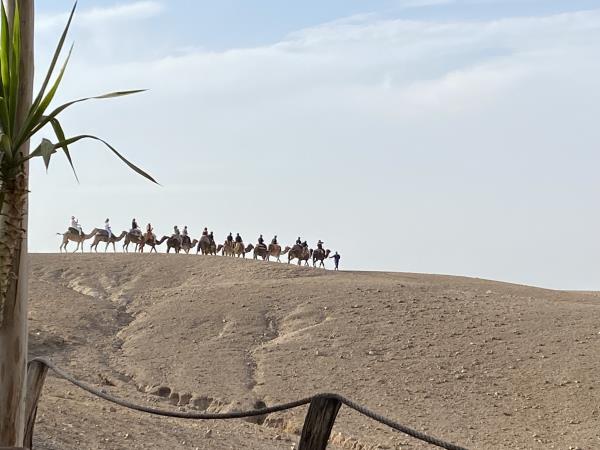2027 solar eclipse short break in Morocco