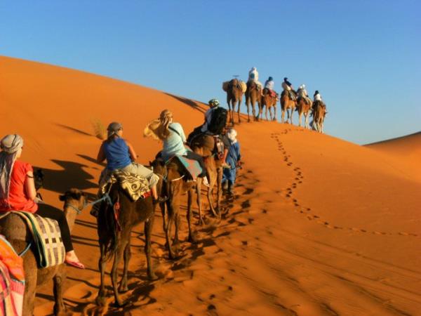 Morocco 2027 solar eclipse, various tours