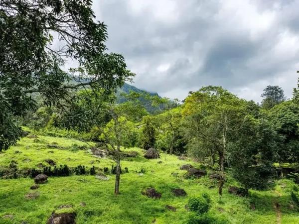 Kerala homestay tour, India