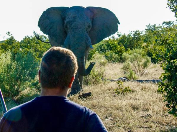 Wilderness Training Course in Botswana