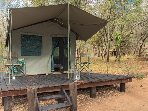 Wildlife monitoring holiday in South Africa