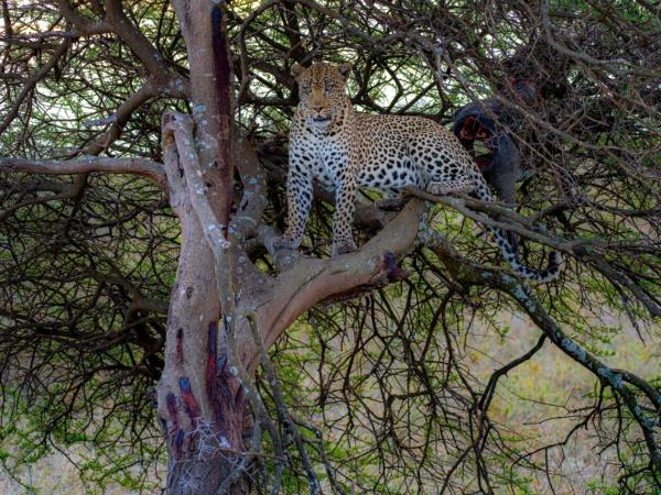 Lake Victoria eco lodge and cultural holiday, Tanzania