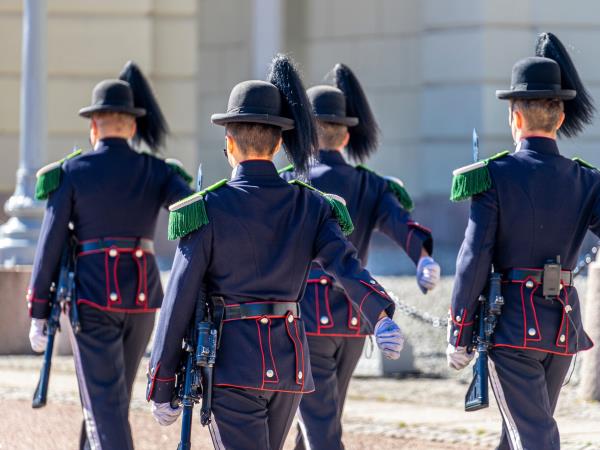 Scandinavia rail and fjords small group tour