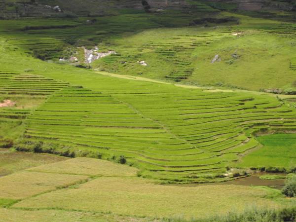 Madagascar private tour, tailor made