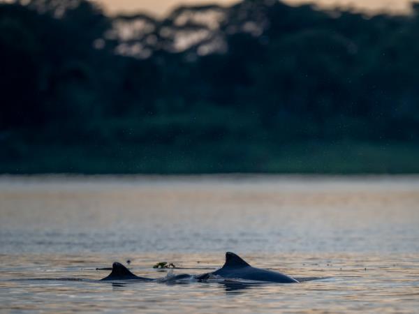 Tailor made holiday in Brazil