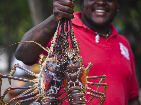 Grenada luxury sailing holiday