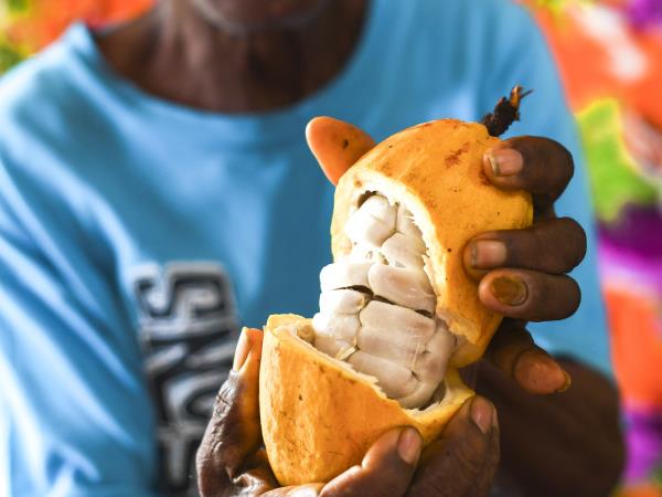Grenada luxury sailing holiday