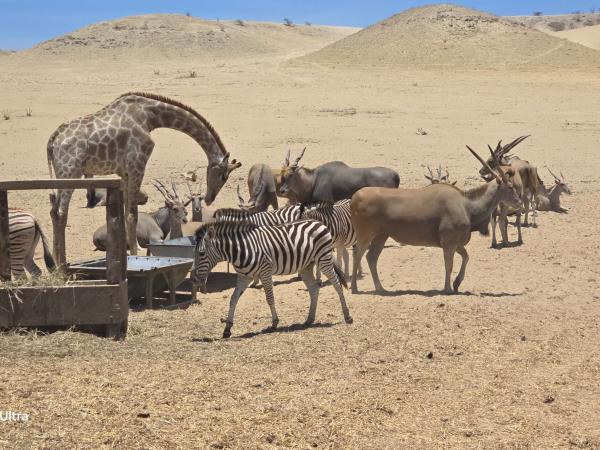 Angola private overland tour