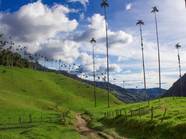 Colombia in-depth holiday, 24 days