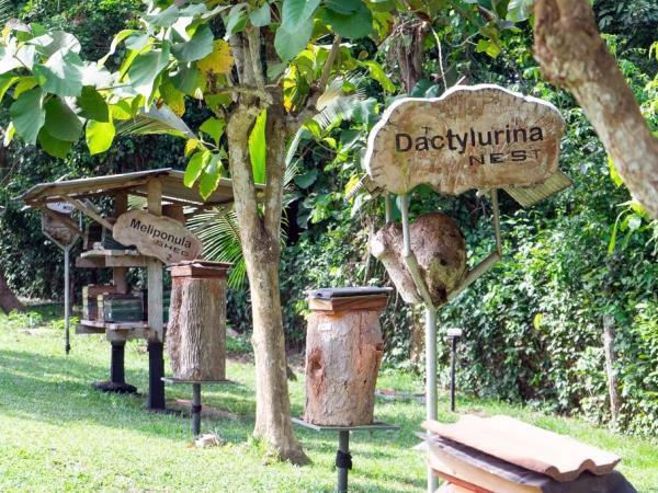 Cultural history holiday in Ghana