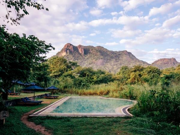 Sri Lanka leopards and wildlife holiday
