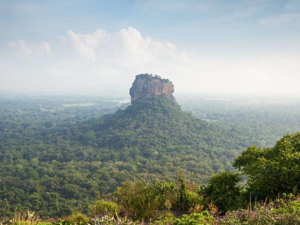 Sri Lanka leopards and wildlife holiday