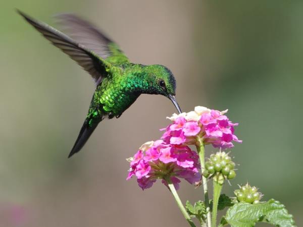 Panama Canal and Costa Rica holiday