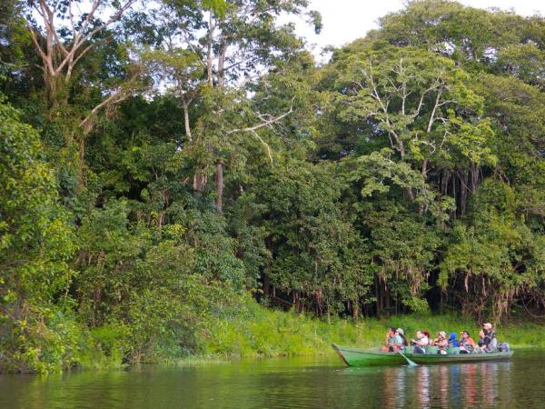 Natural Brazil wildlife holiday, tailor made