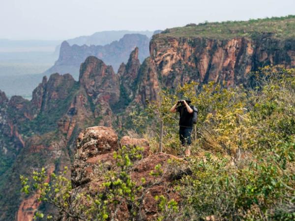 Natural Brazil wildlife holiday, tailor made