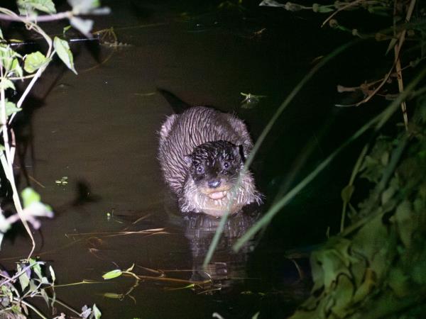 Mammals of Sri Lanka holiday
