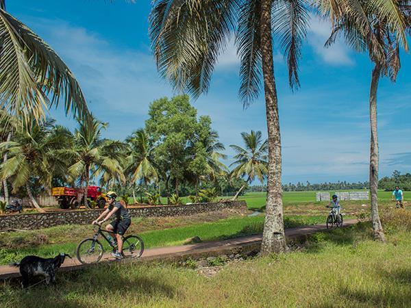 E-Bike Tour in Kerala