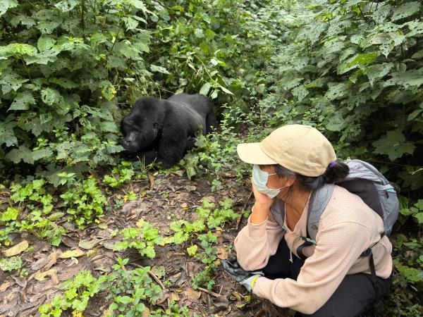 Gorilla and game safari in Uganda 