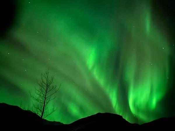 Northern Lights adventure in Iceland, small group