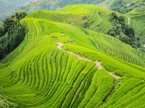 Southwest China holiday, Guilin to Shangri-La