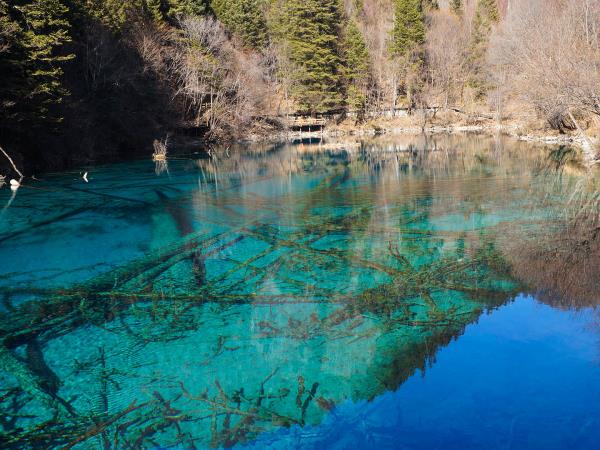 China overland holiday, Tibetan Plateau & pandas