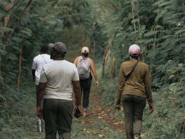 Gorilla and Rwenzori expedition in Uganda