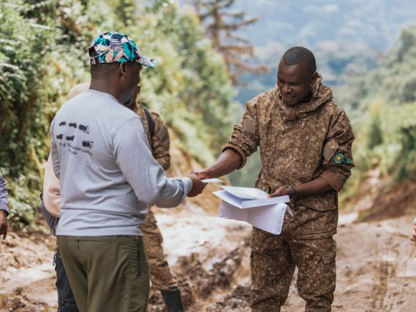 Luxury gorilla tracking by road, Uganda