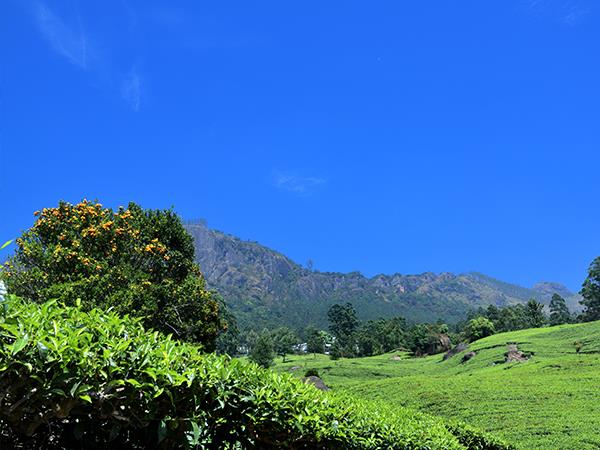 Walking and cycling holiday in Kerala, India