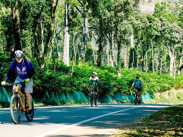 Walking and cycling holiday in Kerala, India
