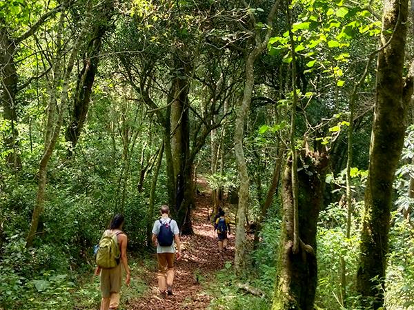 Walking and cycling holiday in Kerala, India
