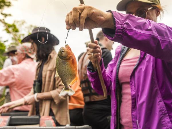 Amazon River 8 day cruise, high water season