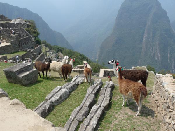 Machu Picchu & Sacred Valley holiday from Lima