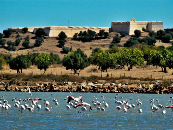 The Algarve and Andalucia easy walking holiday