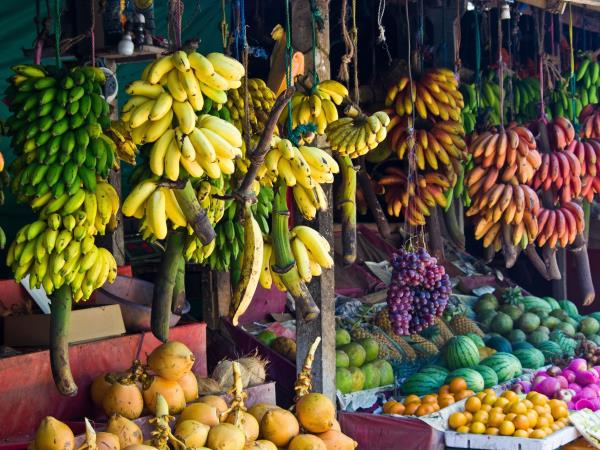 Sri lanka food holiday, small group