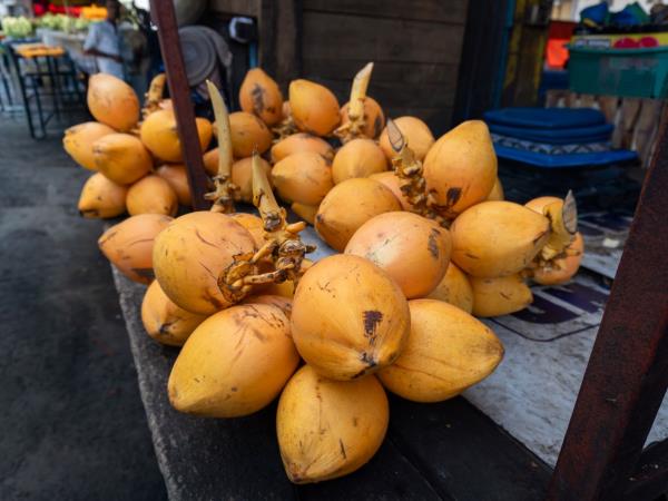 Sri lanka food holiday, small group