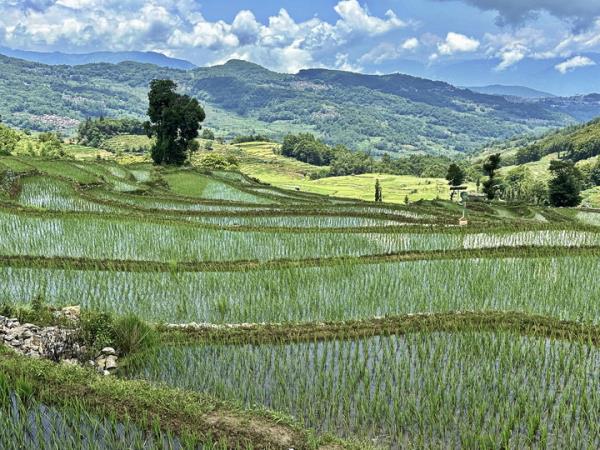 Northern Vietnam and Yunnan holiday